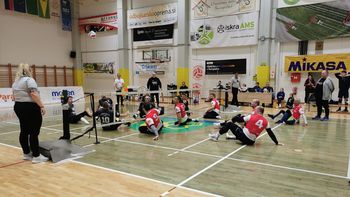 Video novica: Šempetrani v odbojki sede napredovali v Srebrno Evroligo 