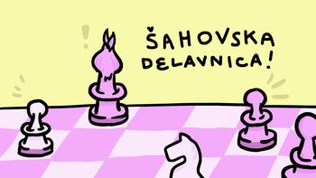 ŠAH!