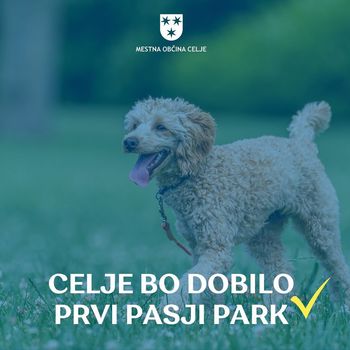 V MČ Dečkovo naselje bomo uredili prvi pasji park in obnovili otroško igrišče