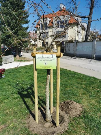 70. OBLETNICA DRUŠTVA UPOKOJENCEV MENGEŠ