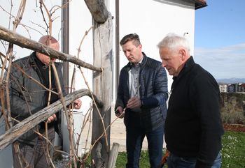 Rez modre kavčine na gradu Komenda