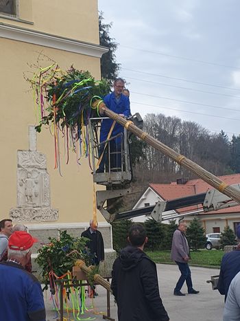 Foto utrinki: Postavitev butar pred cerkvijo sv. Jerneja v Vojniku