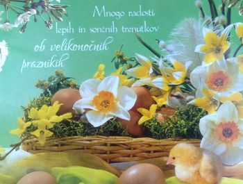 Voščilo MDDI Celje