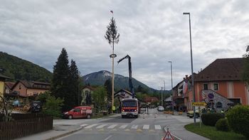Video novica: Postavljanje mlaja v Grižah