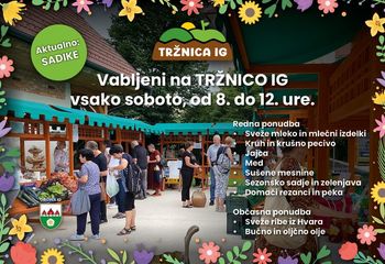 Tržnica Ig