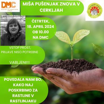 Skrb za rastline v rastlinjaku - Miša Pušenjak znova v Cerkljah