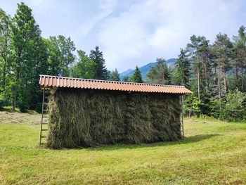 Nagrade za tradicionalno sušenje krme v kozolcih 
