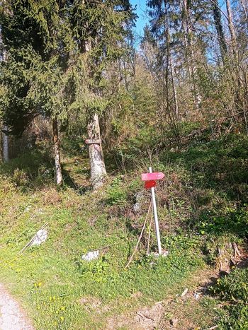 Fotoreportaža - PD na Matajurju 14.4.2024