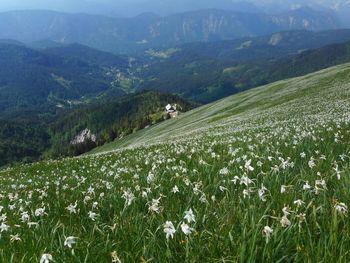 Planinski izlet na Golico 12.5.2024