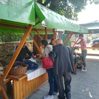 Tržnica, Komunalno podjetje Logatec