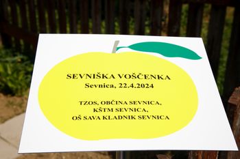 Svetovni dan zemlje 2024, Planet proti plastiki