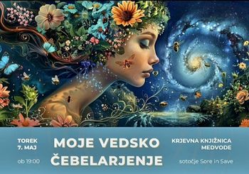 Romanca Rečnik: Moje vedsko čebelarjenje