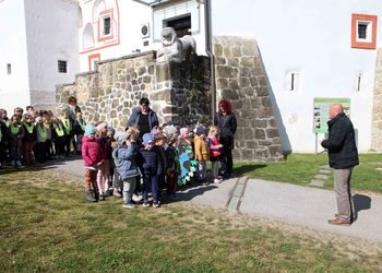 Ob svetovnem dnevu Zemlje posejana gredica travniškega cvetja