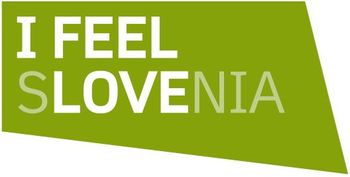 Vizija in strateški cilji razvoja prometa v Občini Žalec