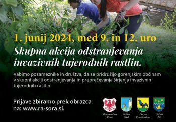 Prva junijska sobota v znamenju akcije čiščenja invazivk