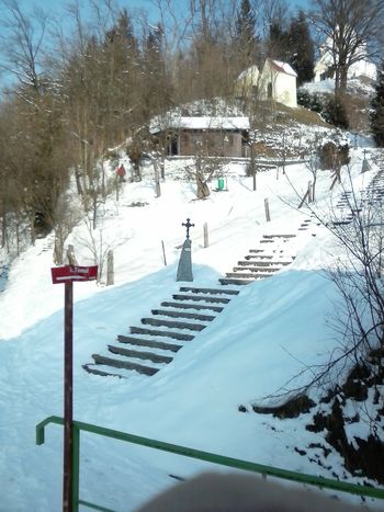 Prevzemniku zemljišča podari čebelnjak