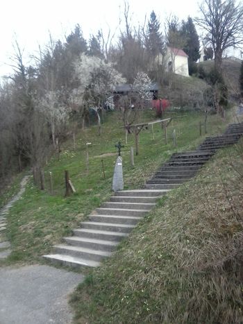 Prevzemniku zemljišča podari čebelnjak