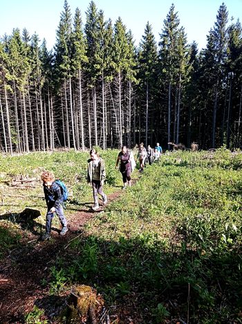 Mladi planinci PD po vrhovih okrog Rakitne 18.5.2024