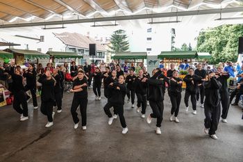 Parada učenja 