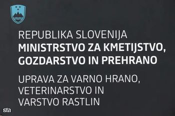 OBVESTILO O OBVEZNEM ZATIRANJU AMERIŠKEGA ŠKRŽATKA
