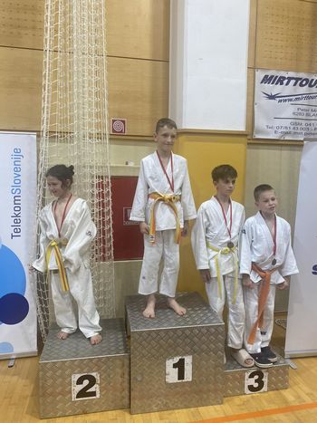 Judo klub Ippon Kamnik na Pokalu Krškega z 9 kolajnami do ekipno 3. mesta