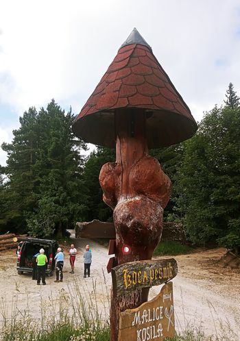 Potepanje po Pohorju s planinskim društvom 23.6.2024