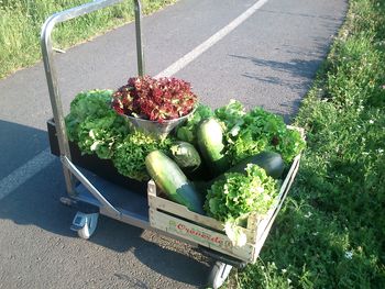 Domače in kvalitetno