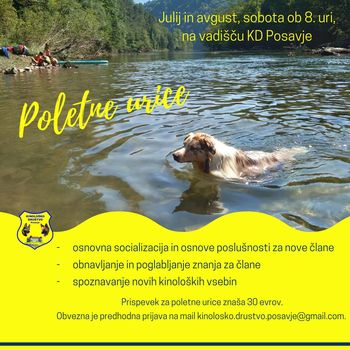 Poletne urice Kinološkega društva Posavje