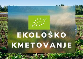 Projekt Veriga ekosemen: Spodbuda za trajnostno pridelavo hrane na Dolenjskem in Gorenjskem