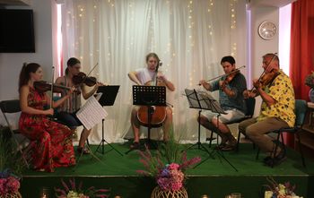 Poletni koncert Godalnega kvinteta