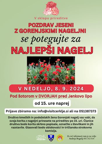 Potegujte se za "Najlepši nagelj" v sklopu prireditve Pozdrav jeseni z gorenjskimi nageljni