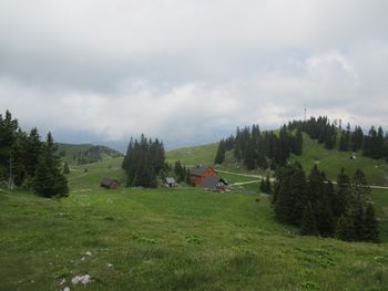 Planinski izlet na Menino planino 4.9.2024 – veterani