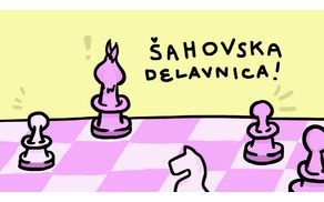 ŠAH - MAT!