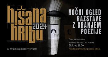 NOČNI OGLED RAZSTAVE Z BRANJEM POEZIJE