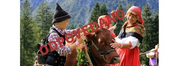 66. Tradicionalni Kravji bal