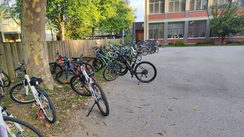 Trajnostna mobilnost