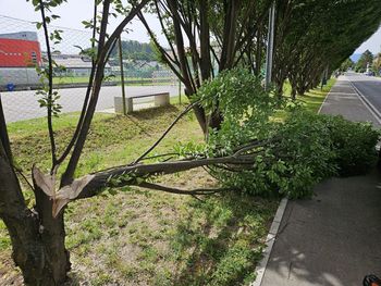 Vandalizem, ki škoduje vsem