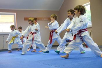 Vabljeni na treninge karateja v Karate klub PANTHER MEDVODE!