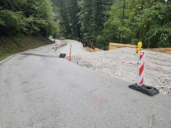 Plavški Rovt