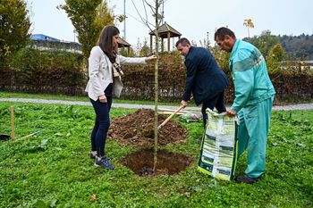 O raku dojk osveščamo z zasaditvijo drevesa v Julijinem parku