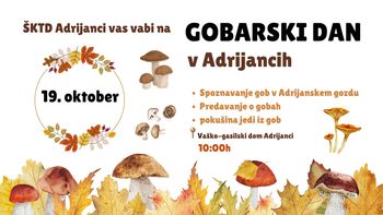 Gobarski dan