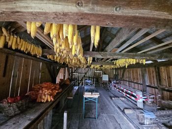 Na Erčevi žagi smo kožuhali in imeli delavnico Bučni strah Na Erčevi žagi smo kožuhali in imeli delavnico Bučni strah