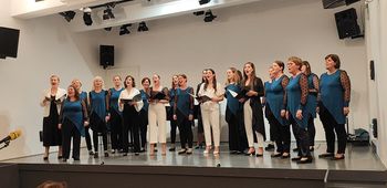 POVEZANI V PESMI: Nepozaben koncert prijateljstva med Novim Sadom in Novim mestom