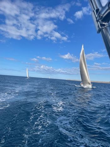 Novomeška regata Osor-Osor 2024