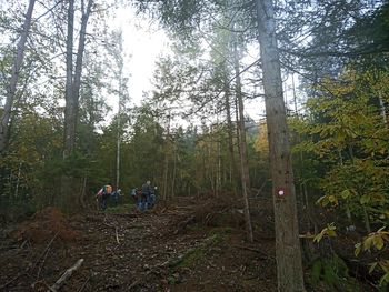 Planinci PD na Klopnem vrhu 20.10.2024