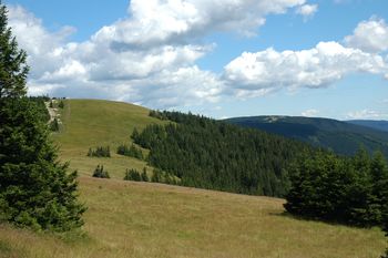 Predavanje mag. Matjaža Ježa Regijski park Pohorje