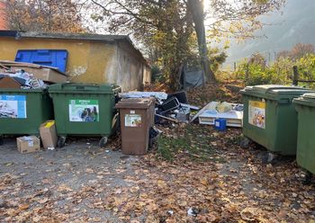 Podgane na vrtičkih ob železnici na Jesenicah