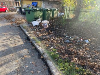Podgane na vrtičkih ob železnici na Jesenicah