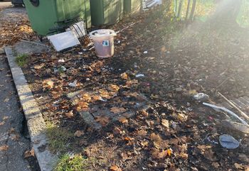 Podgane na vrtičkih ob železnici na Jesenicah