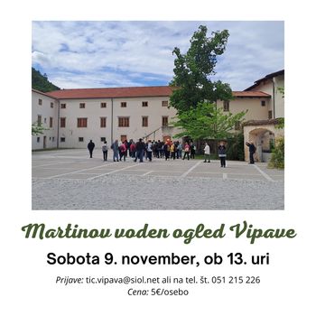 Martinov ogled Vipave
